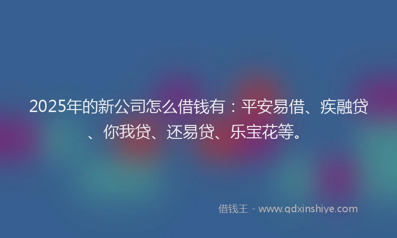 2025年的新公司怎么借钱有：平安易借、疾融贷、你我贷、还易贷、乐宝花等。