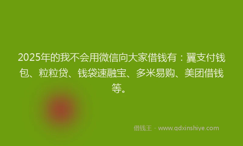 2025年的我不会用微信向大家借钱有：翼支付钱包、粒粒贷、钱袋速融宝、多米易购、美团借钱等。