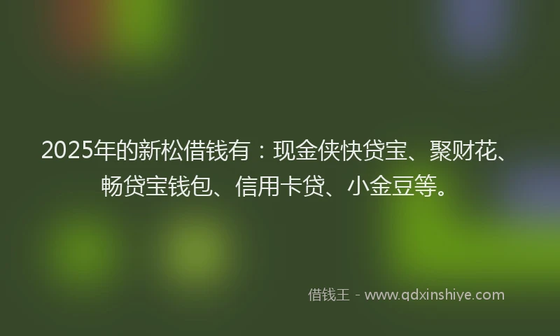 2025年的新松借钱有：现金侠快贷宝、聚财花、畅贷宝钱包、信用卡贷、小金豆等。