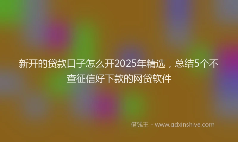 新开的贷款口子怎么开2025年精选，总结5个不查征信好下款的网贷软件