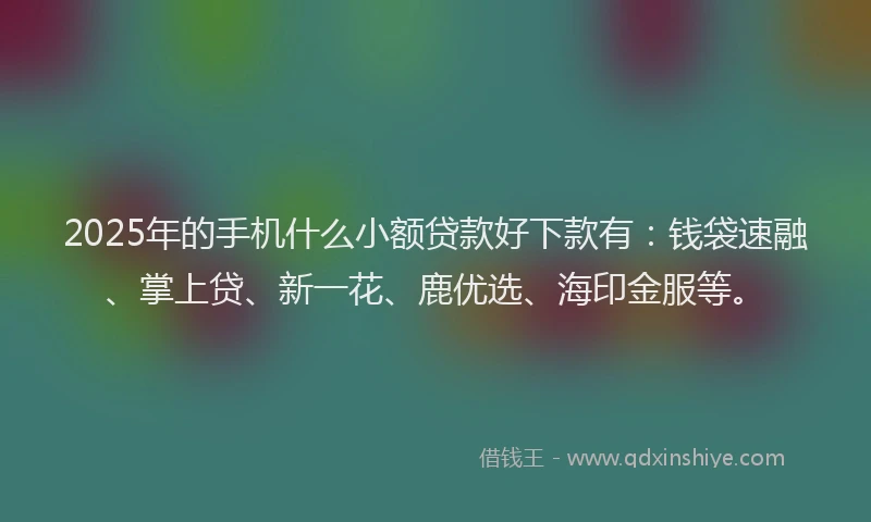 2025年的手机什么小额贷款好下款有：钱袋速融、掌上贷、新一花、鹿优选、海印金服等。