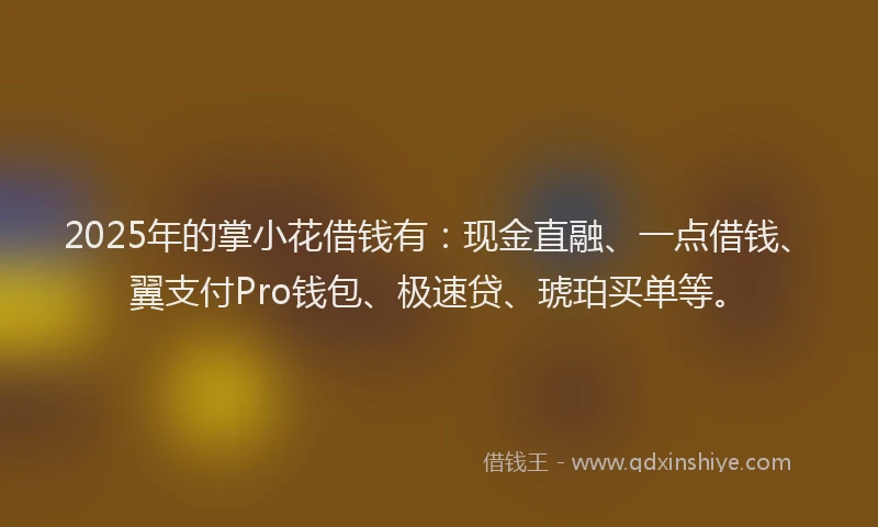 2025年的掌小花借钱有：现金直融、一点借钱、翼支付Pro钱包、极速贷、琥珀买单等。