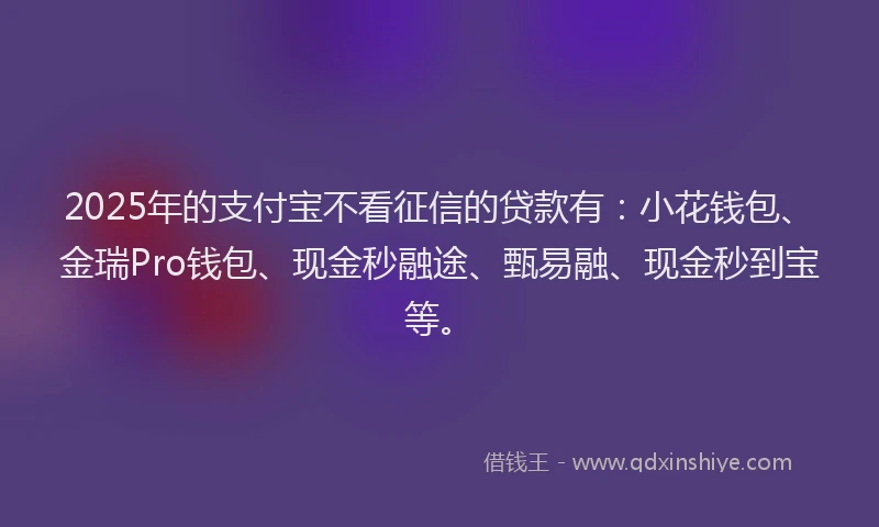 2025年的支付宝不看征信的贷款有：小花钱包、金瑞Pro钱包、现金秒融途、甄易融、现金秒到宝等。
