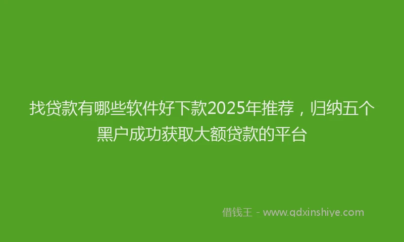 找贷款有哪些软件好下款2025年推荐，归纳五个黑户成功获取大额贷款的平台
