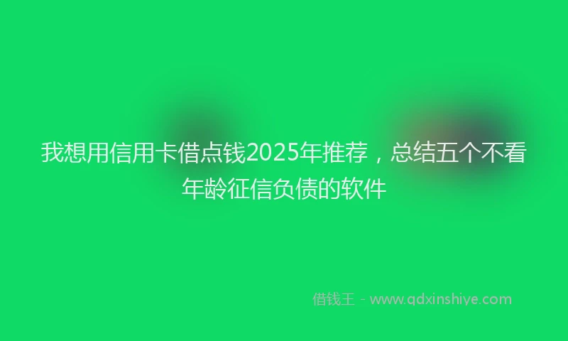 我想用信用卡借点钱2025年推荐，总结五个不看年龄征信负债的软件