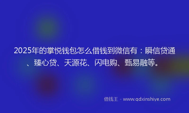 2025年的掌悦钱包怎么借钱到微信有：瞬信贷通、臻心贷、天源花、闪电购、甄易融等。