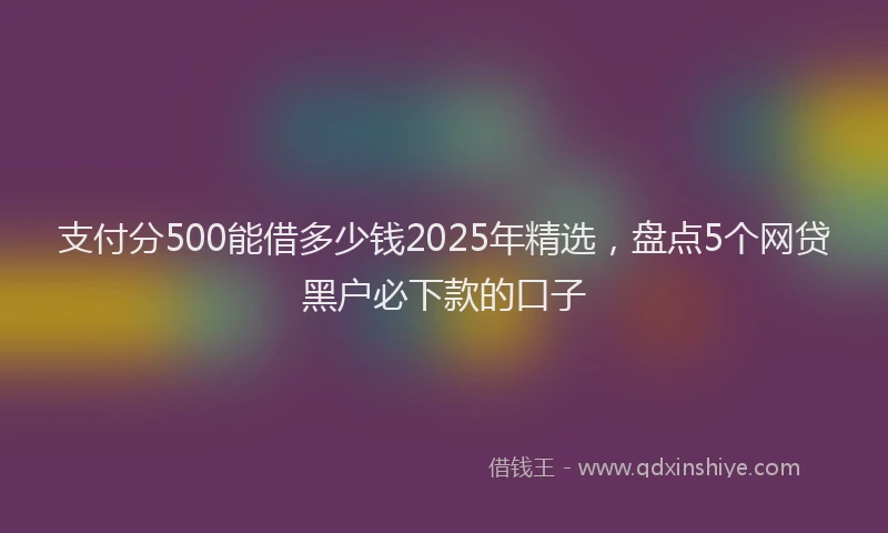 支付分500能借多少钱2025年精选，盘点5个网贷黑户必下款的口子
