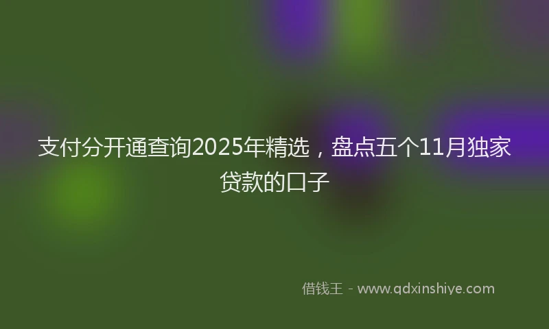 支付分开通查询2025年精选，盘点五个11月独家贷款的口子