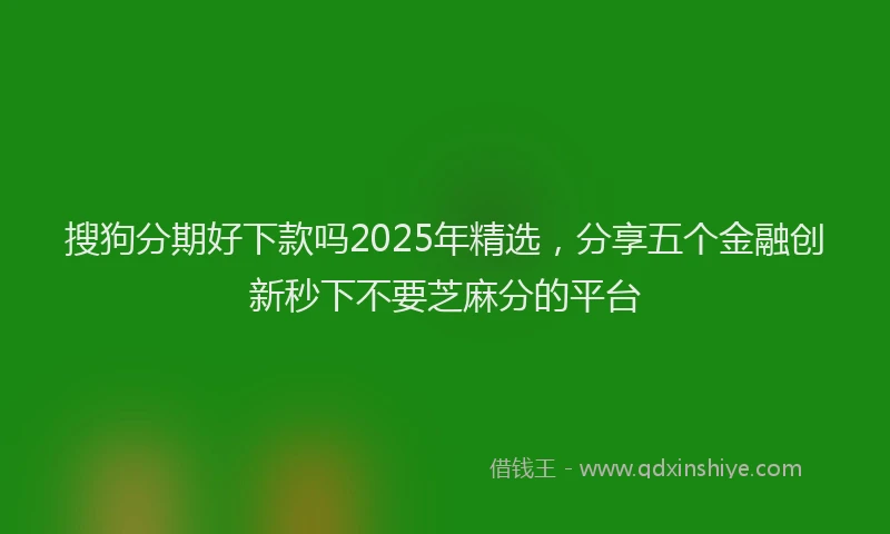 搜狗分期好下款吗2025年精选，分享五个金融创新秒下不要芝麻分的平台
