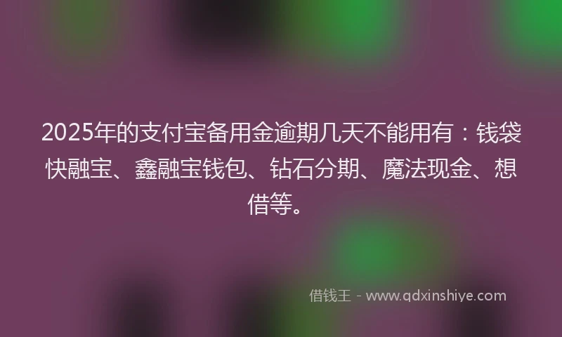 2025年的支付宝备用金逾期几天不能用有：钱袋快融宝、鑫融宝钱包、钻石分期、魔法现金、想借等。