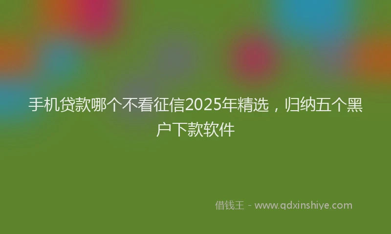 手机贷款哪个不看征信2025年精选，归纳五个黑户下款软件