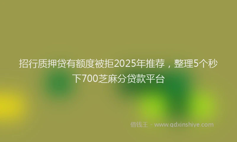 招行质押贷有额度被拒2025年推荐，整理5个秒下700芝麻分贷款平台