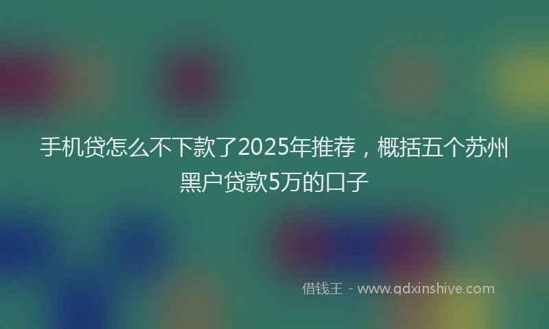 手机贷怎么不下款了2025年推荐，概括五个苏州黑户贷款5万的口子