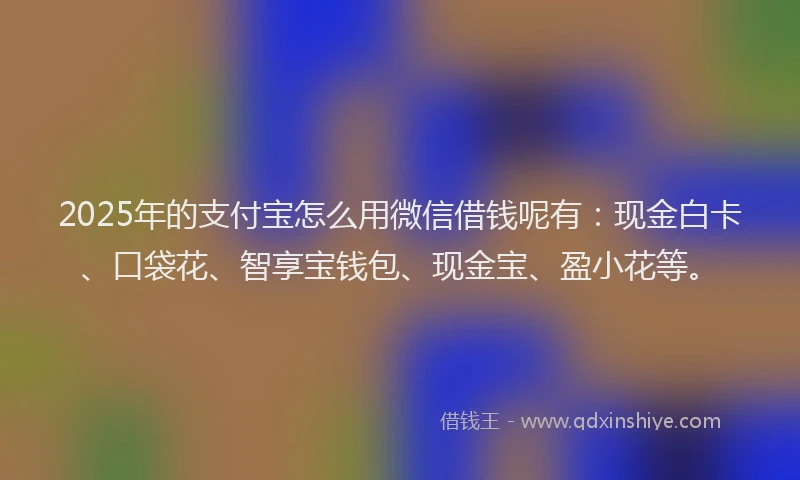 2025年的支付宝怎么用微信借钱呢有：现金白卡、口袋花、智享宝钱包、现金宝、盈小花等。