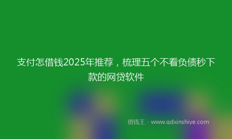 支付怎借钱2025年推荐，梳理五个不看负债秒下款的网贷软件