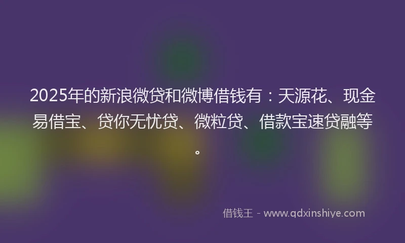 2025年的新浪微贷和微博借钱有：天源花、现金易借宝、贷你无忧贷、微粒贷、借款宝速贷融等。
