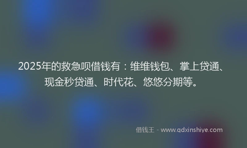 2025年的救急呗借钱有：维维钱包、掌上贷通、现金秒贷通、时代花、悠悠分期等。