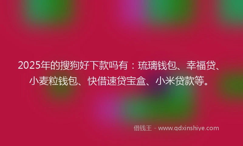 2025年的搜狗好下款吗有：琉璃钱包、幸福贷、小麦粒钱包、快借速贷宝盒、小米贷款等。