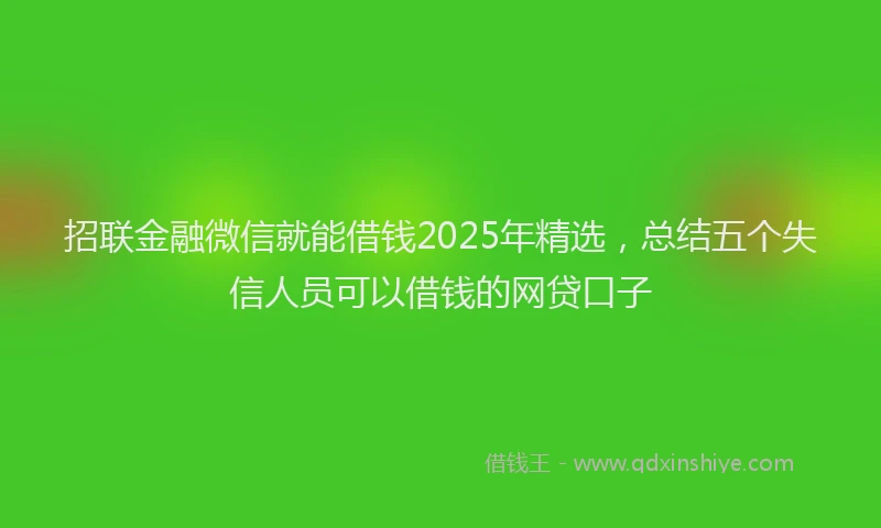 招联金融微信就能借钱2025年精选，总结五个失信人员可以借钱的网贷口子