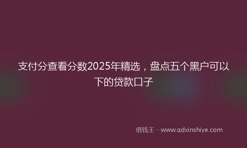 支付分查看分数2025年精选，盘点五个黑户可以下的贷款口子