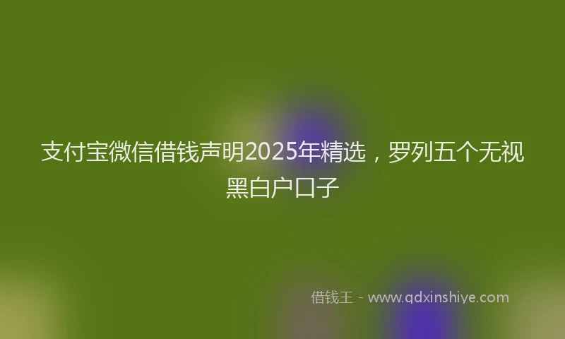 支付宝微信借钱声明2025年精选，罗列五个无视黑白户口子