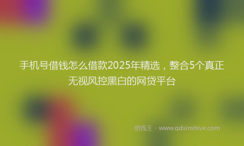 手机号借钱怎么借款2025年精选，整合5个真正无视风控黑白的网贷平台