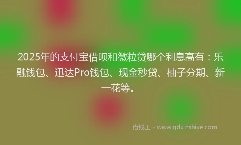 2025年的支付宝借呗和微粒贷哪个利息高有：乐融钱包、迅达Pro钱包、现金秒贷、柚子分期、新一花等。