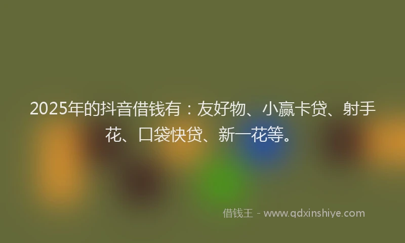2025年的抖音借钱有：友好物、小赢卡贷、射手花、口袋快贷、新一花等。