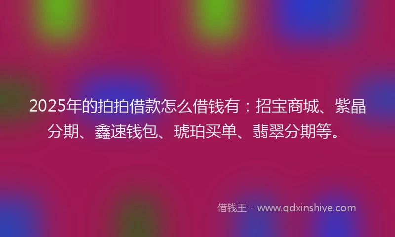 2025年的拍拍借款怎么借钱有：招宝商城、紫晶分期、鑫速钱包、琥珀买单、翡翠分期等。