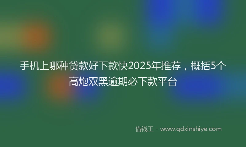 手机上哪种贷款好下款快2025年推荐，概括5个高炮双黑逾期必下款平台