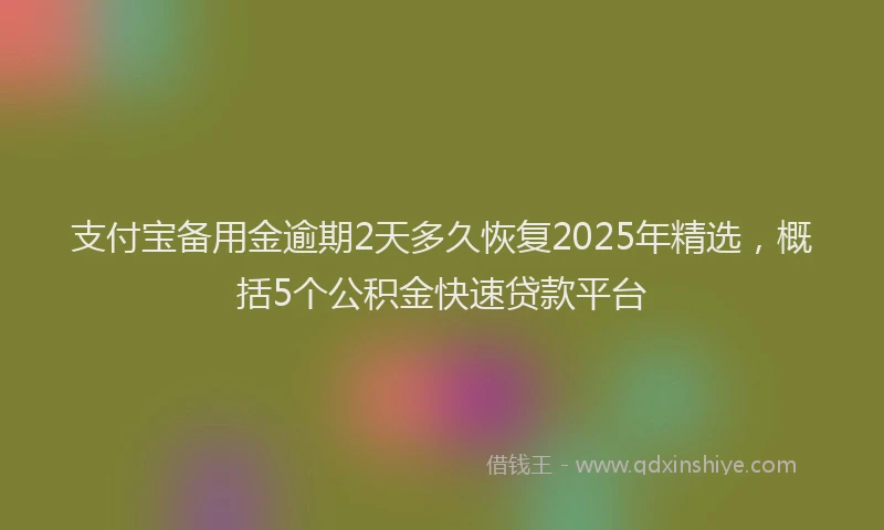 支付宝备用金逾期2天多久恢复2025年精选，概括5个公积金快速贷款平台