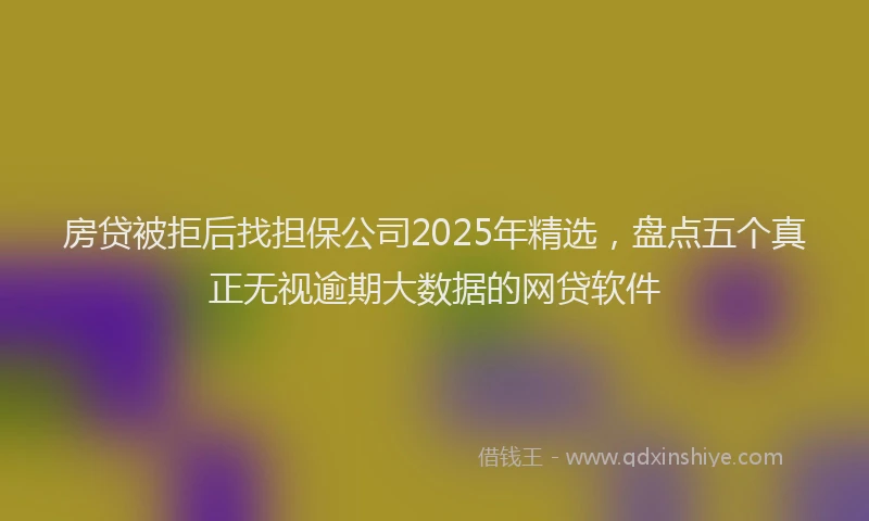 房贷被拒后找担保公司2025年精选，盘点五个真正无视逾期大数据的网贷软件