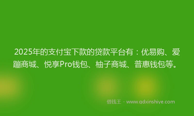 2025年的支付宝下款的贷款平台有：优易购、爱蹦商城、悦享Pro钱包、柚子商城、普惠钱包等。