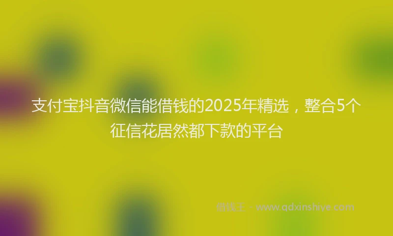 支付宝抖音微信能借钱的2025年精选，整合5个征信花居然都下款的平台