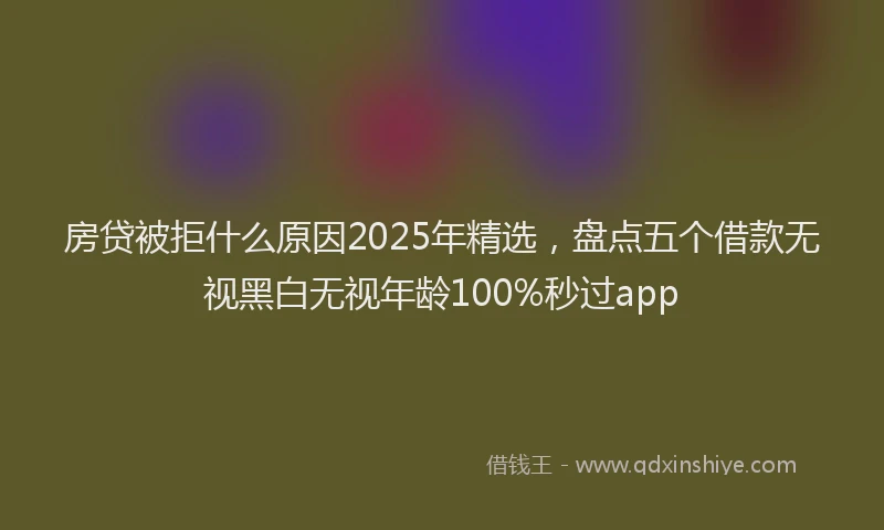 房贷被拒什么原因2025年精选，盘点五个借款无视黑白无视年龄100%秒过app