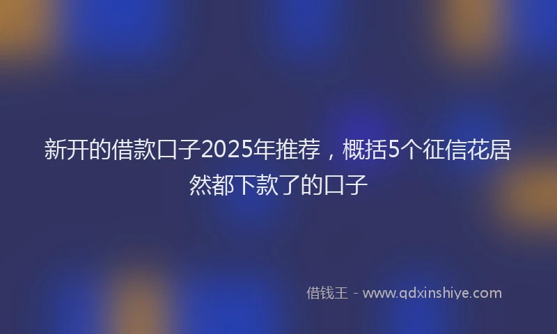 新开的借款口子2025年推荐，概括5个征信花居然都下款了的口子