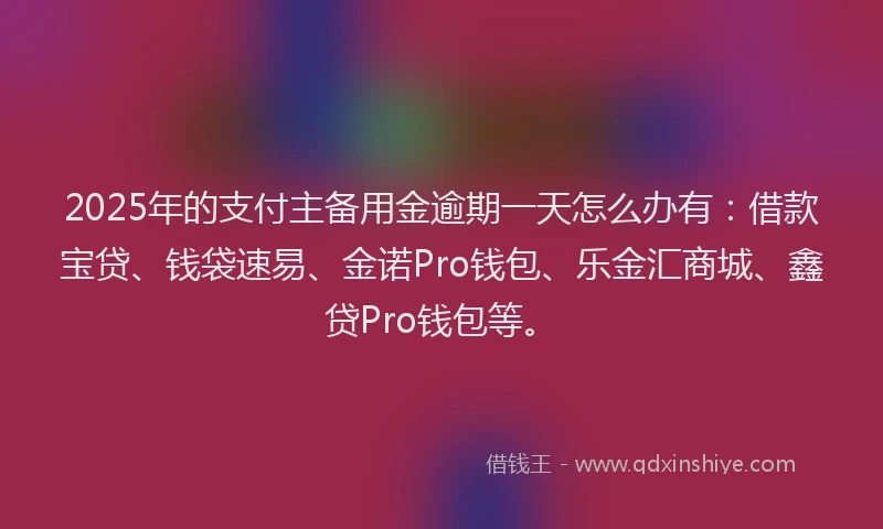 2025年的支付主备用金逾期一天怎么办有：借款宝贷、钱袋速易、金诺Pro钱包、乐金汇商城、鑫贷Pro钱包等。