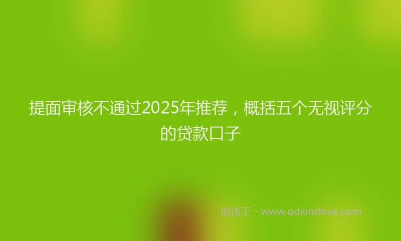 提面审核不通过2025年推荐，概括五个无视评分的贷款口子