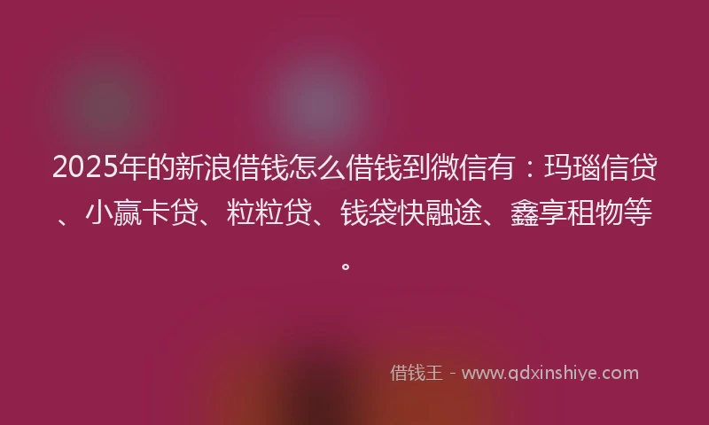 2025年的新浪借钱怎么借钱到微信有：玛瑙信贷、小赢卡贷、粒粒贷、钱袋快融途、鑫享租物等。