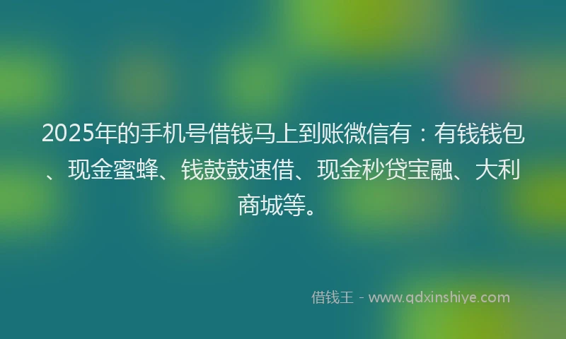 2025年的手机号借钱马上到账微信有：有钱钱包、现金蜜蜂、钱鼓鼓速借、现金秒贷宝融、大利商城等。