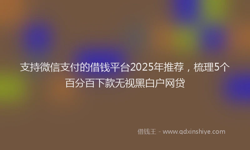 支持微信支付的借钱平台2025年推荐，梳理5个百分百下款无视黑白户网贷