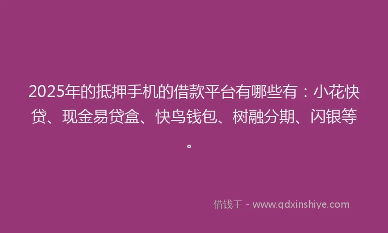 2025年的抵押手机的借款平台有哪些有：小花快贷、现金易贷盒、快鸟钱包、树融分期、闪银等。