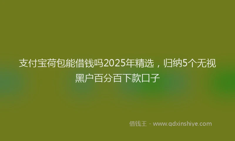 支付宝荷包能借钱吗2025年精选，归纳5个无视黑户百分百下款口子