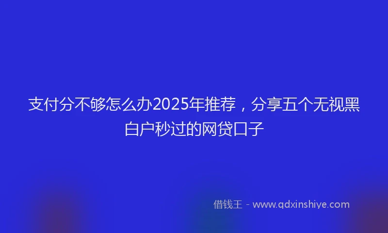 支付分不够怎么办2025年推荐，分享五个无视黑白户秒过的网贷口子