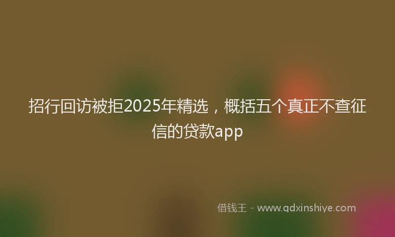 招行回访被拒2025年精选，概括五个真正不查征信的贷款app
