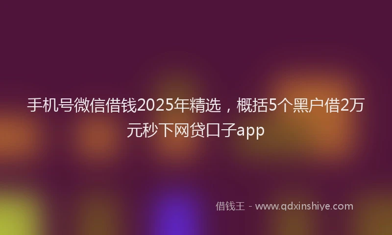 手机号微信借钱2025年精选，概括5个黑户借2万元秒下网贷口子app