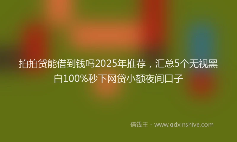 拍拍贷能借到钱吗2025年推荐，汇总5个无视黑白100%秒下网贷小额夜间口子