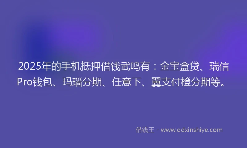 2025年的手机抵押借钱武鸣有：金宝盒贷、瑞信Pro钱包、玛瑙分期、任意下、翼支付橙分期等。