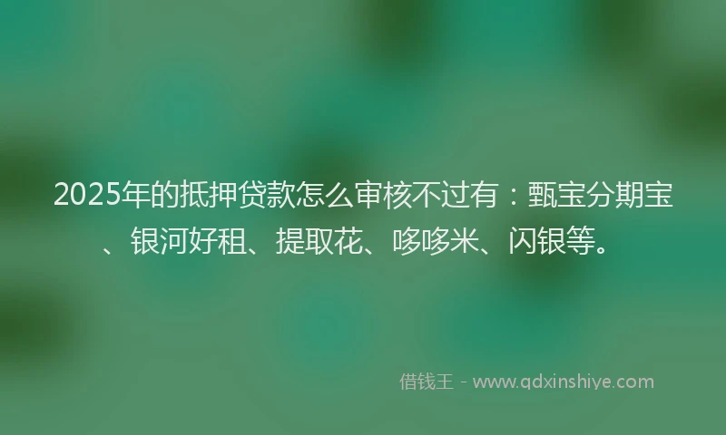 2025年的抵押贷款怎么审核不过有：甄宝分期宝、银河好租、提取花、哆哆米、闪银等。