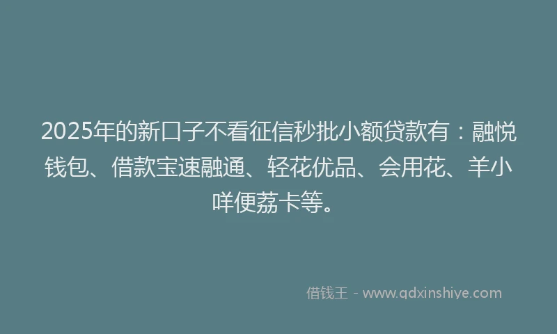 2025年的新口子不看征信秒批小额贷款有：融悦钱包、借款宝速融通、轻花优品、会用花、羊小咩便荔卡等。